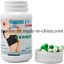 Hot Selling Green Tea Carnitine Slimming Capsule (MJ-587)